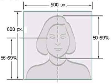 electronnoe-foto-dlia-vizy-v-ssha Полезная информация